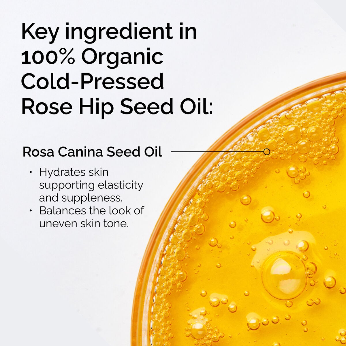 100-organic-cold-pressed-rose-hip-seed-oil-p2 FY25-D41247-ORD-Web-PDP-100-Rose-Hip-Oil-1x1-EN-2.jpg