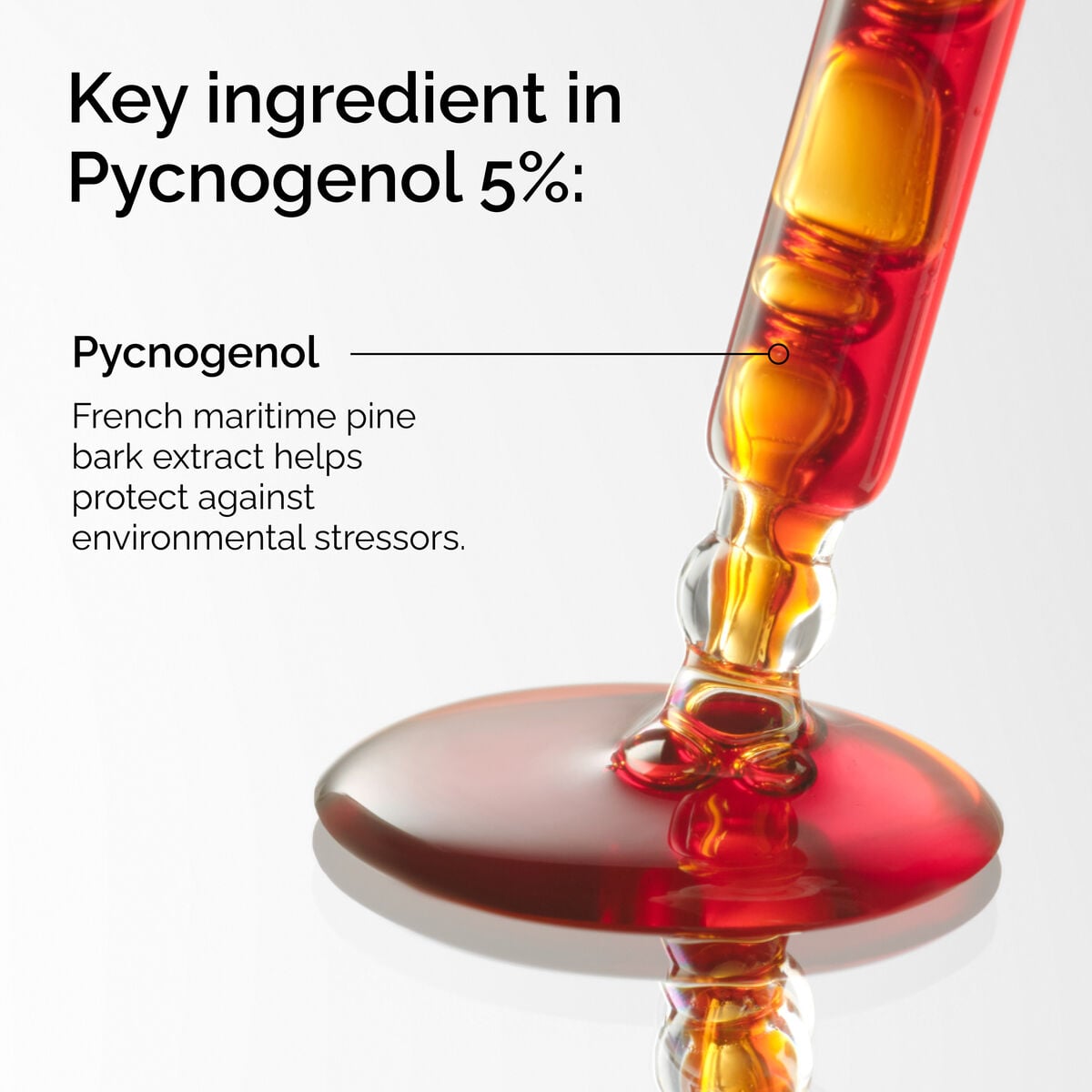 pycnogenol-5-c6 FY25-D41247-ORD-Web-PDP-Pyc-5pct-1x1-EN-2a.jpg