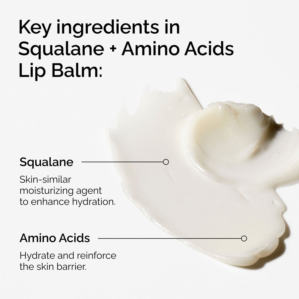 squalane-amino-acids-lip-balm-s2 FY25-D41247-ORD-Web-PDP-Sql-Amino-Lip-1x1-EN-2a.jpg