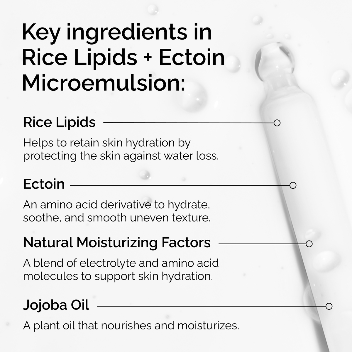 rice-lipids-ectoin-microemulsion-l2 ord-rice-lipids-ectoin-microemulsion-key-ingredients.png