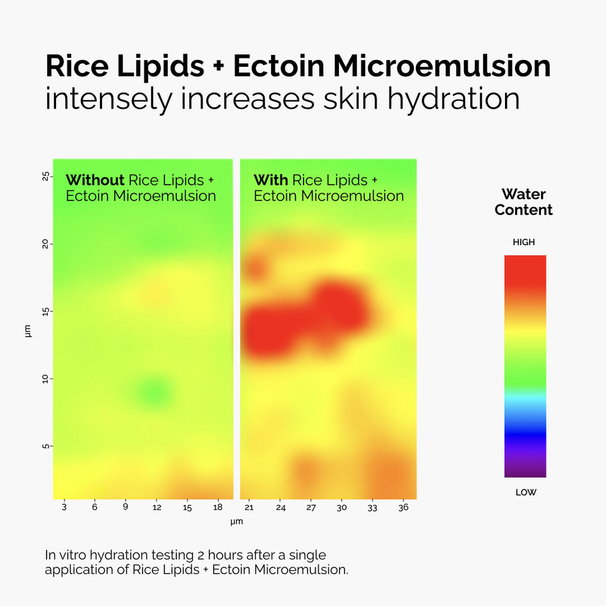 rice-lipids-ectoin-microemulsion-l2 ord-rice-lipids-ectoin-microemulsion-thermal-before-after.jpg